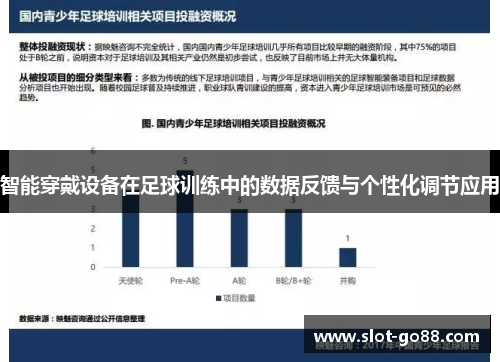 智能穿戴设备在足球训练中的数据反馈与个性化调节应用